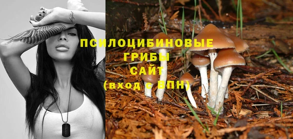 дмт Покачи