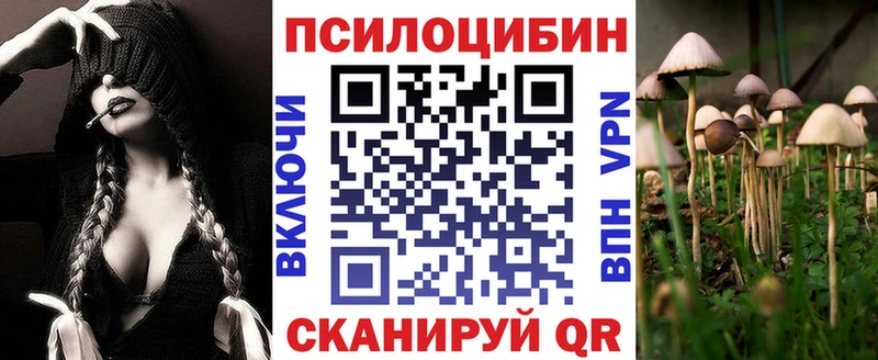 Галлюциногенные грибы MAGIC MUSHROOMS  дарк нет телеграм  Дрезна  даркнет сайт 