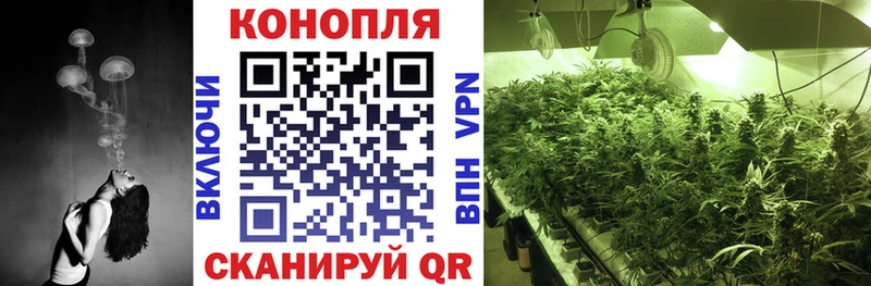 даркнет какой сайт  Дрезна  Канабис план  где купить наркоту 